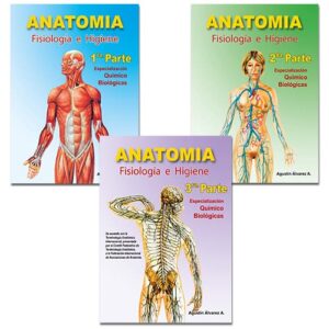 Anatomía