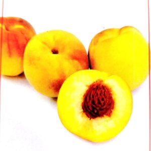 Aprende Inglés: Frutas y Verduras