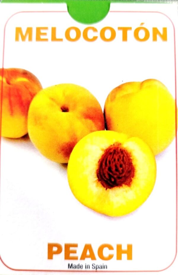 Aprende Inglés: Frutas y Verduras