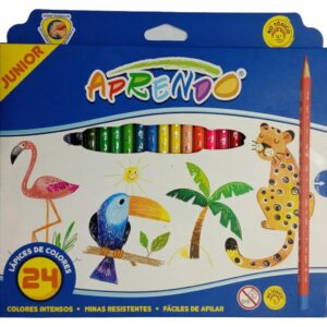 Lápices de Colores x24