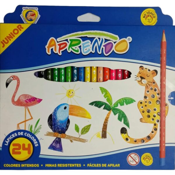 Lápices de Colores x24